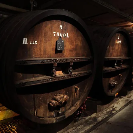 Soon - Surf Appartamento Colmar